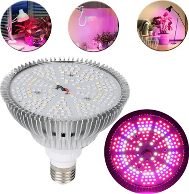 A collage of images showing a grow light bulb and its application for plants.