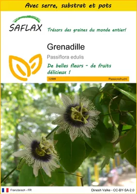 Image de SAFLAX Ensemble de culture - Grenadille - 40 graines - Passiflora