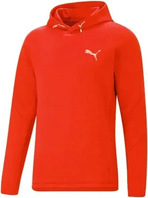 Obrázek produktu pro Mikina s kapucí Puma 849914-33 pro Pánské