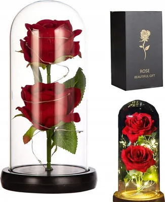 Produktbild von Ewige Doppelrose Im Glas Led-Geschenk
