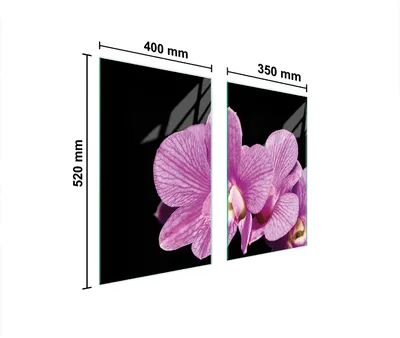 Produktbild von Glasschutzplatte Für Herd 75X52 Orchidee