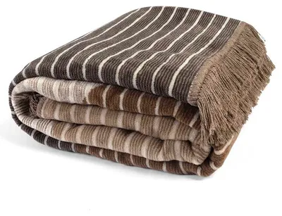 Produktbild von Decke, Baumwolldecke mit Fransen, hohe Qualität 150x200 Ps26119a Braun, Streifen