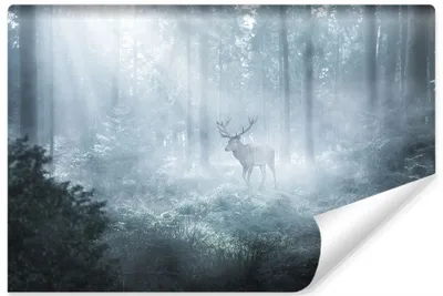 Produktbild von Muralo Vlies Fototapete WALD IM NEBEL Hirsch Natur Landschaft 3D Br. 368cm x Hö. 254cm