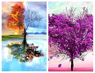 2er-Set 5D Diamond Painting 30x30 cm mit Zubehör