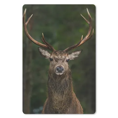 Produktbild von MuchoWow® Mauspad Mousepad Hirsch - Geweih - Natur 40x60 cm - Mousepads - Maus Mat - Pad - Mausunterlage - Schreibtisch Accesoire