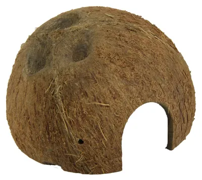 Immagine prodotto di JBL Cocos Cava 1/2 L
