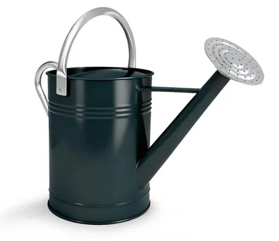 Imagen del producto de Jarra de 6.5 litros - Verde oscuro - Jarra de metal para uso interior y exterior