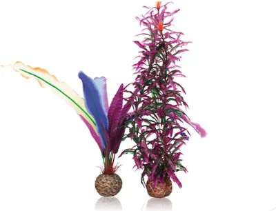 Produktbild von biOrb Papageienfeder S (55078)