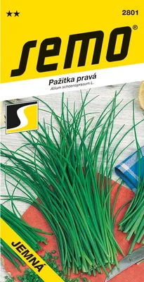 Produktbild von Schnittlauch JEMNÁ, frühe und ertragreiche Sorte für Topf und Freiland