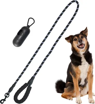 Image de Laisse pour chien 150 × 1,2 cm avec distributeur de sacs – 20 sacs inclus – Poignée EVA confortable – Dogs Collection
