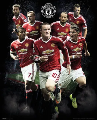 Produktbild von Manchester United - Mini-Poster - Fußball - Players 15/16