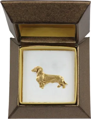 Obrázek produktu pro Jezevčík drátosrstý - Psí brož v ozdobné krabičce, elegantní pozlacená spona, spona na sako značky Art-Dog