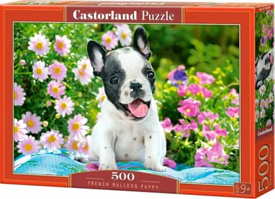 Immagine prodotto di Puzzle 500 pezzi Cucciolo di Bulldog Francese Castorland 53650