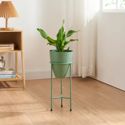 A green plant stand with a green pot and a green plant on a wooden floor, next to a wooden side table with a lamp and books.