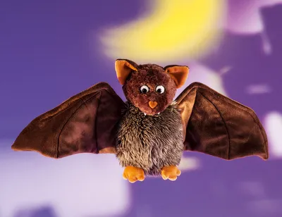 Produktbild von Schaffer Stofftier, Kuscheltier, Schaffer Fledermaus Dragomir 5300, 11cm
