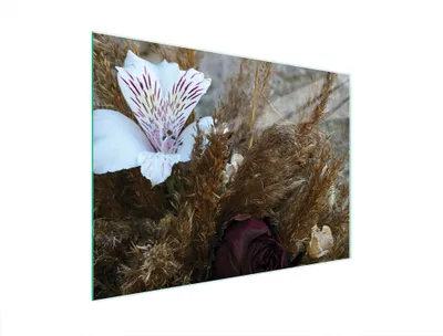 Productafbeelding van Glazen snijplank 40x30, Orchidee design
