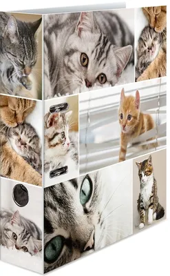 Produktbild von Motivordner A4 70mm Katzen Packung mit 10 Stück