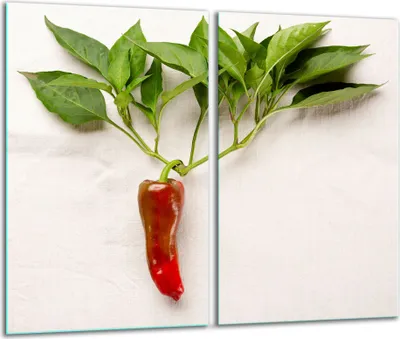 Produktbild von Herdabdeckplatten 2 teilig 30x52 Glaskeramikfeld Abdeckung Glas Chili
