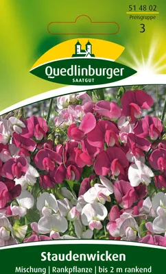 Produktbild von Staudenwicke Mischung | Wickensamen von Quedlinburger