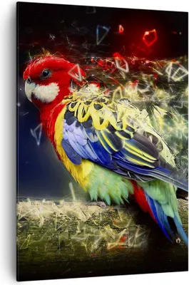 Produktbild von Bild auf Leinwand - Leinwandbild - Einteilig - Papagei Vogel Feder - 70x100cm - Wand Bild - Wanddeko - Wandbilder - Leinwanddruck - Wanddekoration - Leinwand bilder - Wandbild - PA70x100-3682