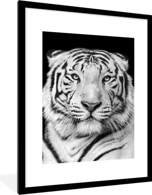 Produktbild von MuchoWow® Gerahmtes Poster Tiger - Schwarz - Weiß - Porträt - Tiere 60x80 cm - Poster mit Schwarzem Bilderrahmen Wandposter Rahmen Foto Bilder - Wohnzimmer - Dekorationen - Prämie