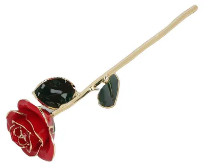 Produktbild von Konservierte Rose 24k Gold Vergoldet mit Geschenkbox