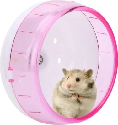 Produktbild von Laufrad für Hamster, Laufrad für Kleintiere, Laufrad für Hamster, Laufrad für leises Hamsterrad, Laufrad für Zwerghamster für kleine Hamster, Spielzeug für Meerschweinchen, Rennmausrad