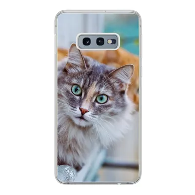 Produktbild von MuchoWow® Handyhülle Schutzhülle Hülle für Samsung Galaxy S10e Katze - Fenster - Katzen Silikon Softcase Handy Hülle - Handy