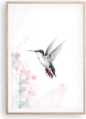 Produktbild von Gerahmtes Poster - Rahmen in heller Eiche - Kolibri Aquarell Licht - 70x100 cm - Wand Bild - Wanddeko - Wandbilder - Kunstposter - Wandposter - Bilderrahmen - Bilder - Kunstdruck - P2NPA70x100-4518