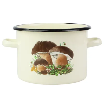 Obrázek produktu pro Smaltovaný hrnec 5 l, univerzální hrnec, polévkový hrnec, vhodný na indukci, průměr 22 cm, s motivem hub, objem 5,5 l