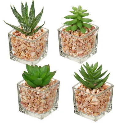 Produktbild von Künstliche Sukkulente, naturgetreu im Glastopf, dekorative Sukkulente für Wohnzimmer, Balkon, Schlafzimmer, Badezimmer oder als Tischdekoration.