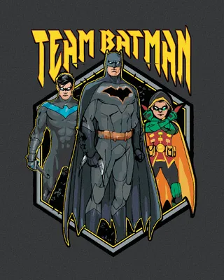 Produktbild von Zuty - Malen nach Zahlen - TEAM BATMAN, 40x50 cm, mit Keilrahmen (bereits gespannt)