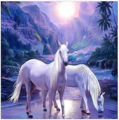 Produktbild von Malen nach Zahlen: Zwei weiße Pferde, lila, 50 x 40 cm, auf Rahmen, kreativ