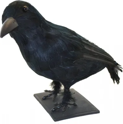 Produktbild von Schwarzer Halloween Rabe mit Federn 32cm