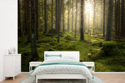 Produktbild von MuchoWow® Fototapete für Wohnzimmer oder Schlafzimmer Wandtapete Vinyl Motivtapete Wald - Sonne - Baum - 450x300 cm - Gemusterte