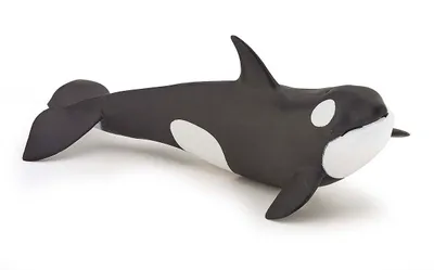 Produktbild von Papo Schwertwal-Kalb, 3 Jahr(e), Marine life, Schwarz, Weiß, PVC
