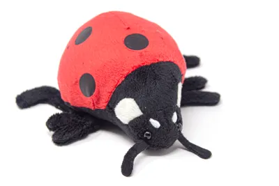 Immagine prodotto di Cornelissen - Peluche - Coccinella - 16 cm