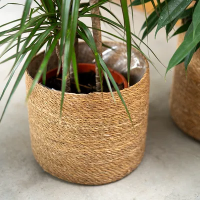 Produktbild von Seegras Korb rund natur Ø 27 x 24 mit Einsatz Blumentopf geflochten Aufbewahrungskorb Über-Topf Blumenkorb