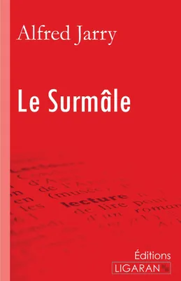 Produktbild von Le Surmâle