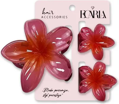 Produktbild von Carla Set Haarspangen Fredesinda rot One size