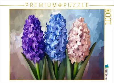Produktbild von CALVENDO Puzzle Hyazinthen in drei Farben | 1000 Teile Lege-Größe 64x48cm Foto-Puzzle für glückliche Stunden