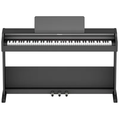 Image de Roland RP107-BKX