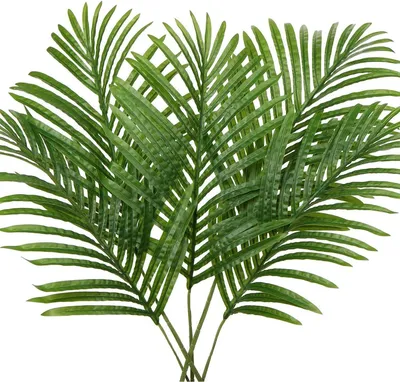 Image de Feuilles de palmier artificielles Set 5 pièces 45cm vert #2
