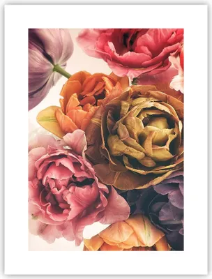 Produktbild von Poster - Poster ohne Rahmen - Blumenstrauß Blumen Braut - 30x40 cm - Wand Bild - Wanddeko - Wandbilder - Kunstposter - Wandposter - Bilder - Kunstdruck - Wanddekoration - Wandbild - P2XPA30x40-5025