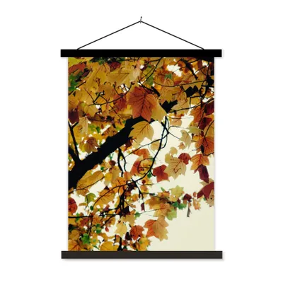 Produktbild von MuchoWow® Textilposter Bäume - Herbstblätter - Natur 120x160 cm mit schwarzem Rahmen - Magnetischer