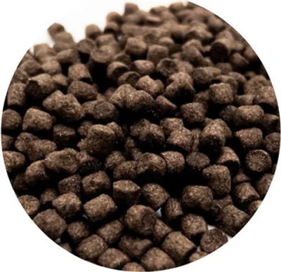 Produktbild von WTS Koifutter - Wheatgerm für Frühjahr & Herbst - 10 Liter 6 mm