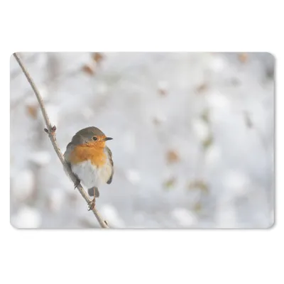 Produktbild von MuchoWow® Schreibtischunterlage Vogel - Rotkehlchen - Winter 60x40 cm - XXL Mauspad - Großes Mauspad