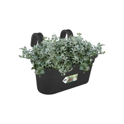 Obrázek produktu pro elho green basics easy hanger large, Květináč, Hanging, Polypropylen (PP), Černá, Obdélník, Venkovní