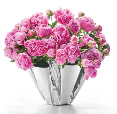 Produktbild von PHILIPPI Vase MARGEAUX XXL Edelstahl in Faltenoptik