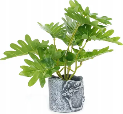Produktbild von Kunstpflanze im Topf 22cm - Realistische Deko Blume - Pflegeleicht & Bunt - Zufällige Farbe